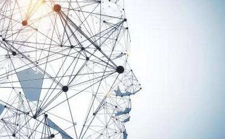 SEO反向优化怎么用（网站被降权的原因有哪些）